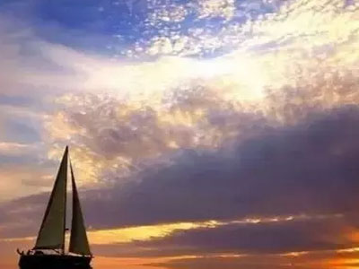 【經(jīng)典回顧】中藥抗病毒市場巨大，了哥王咀嚼片異軍突起